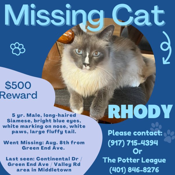 Safe Siamese in Middletown, RI