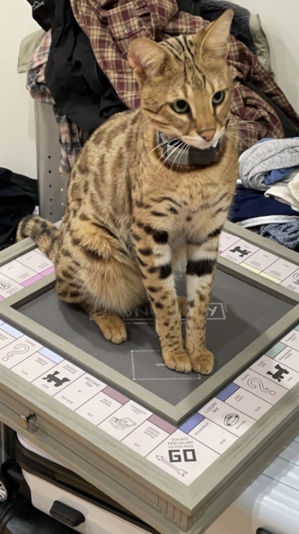 Lost Savannah in Mullica Hill, NJ