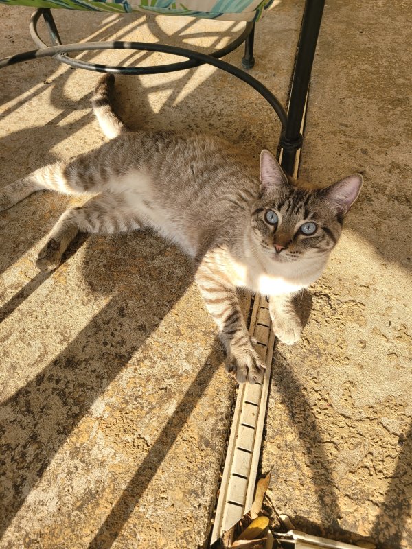 Safe Mix in Plano, TX