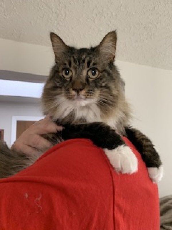 Safe Mix in Salem, OR