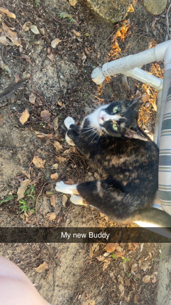 Found  