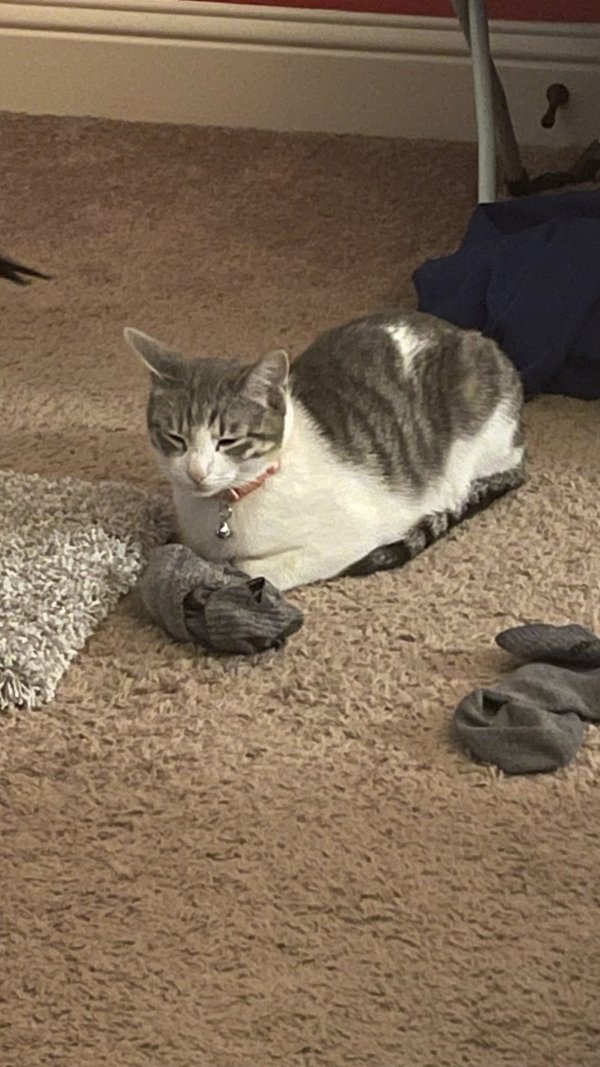Found  