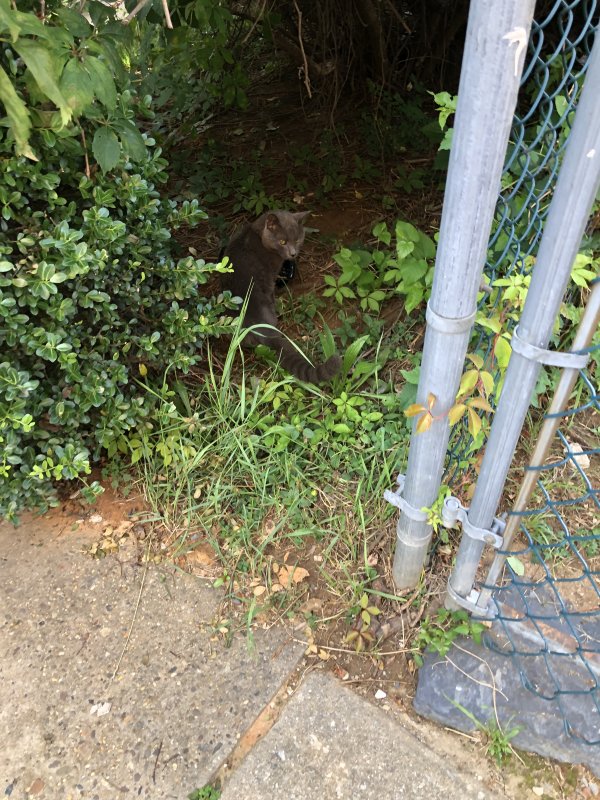 Found  