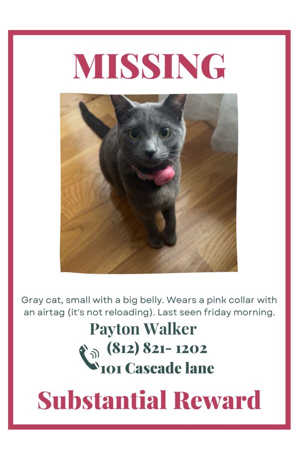 Safe Cat in Goodlettsville, TN