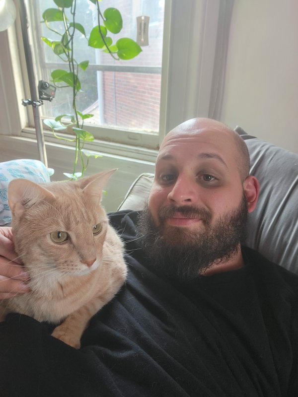 Safe Cat in Norristown, PA
