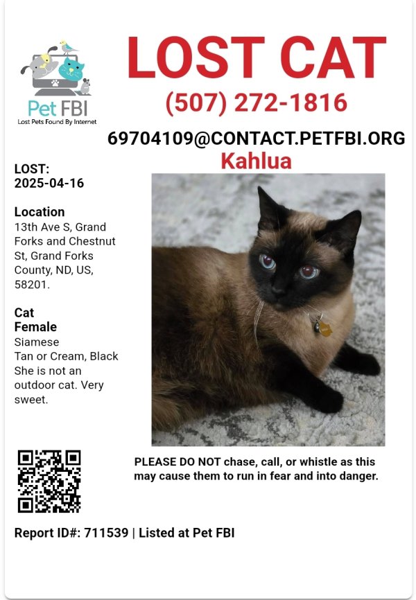 Lost Siamese in North Dakota