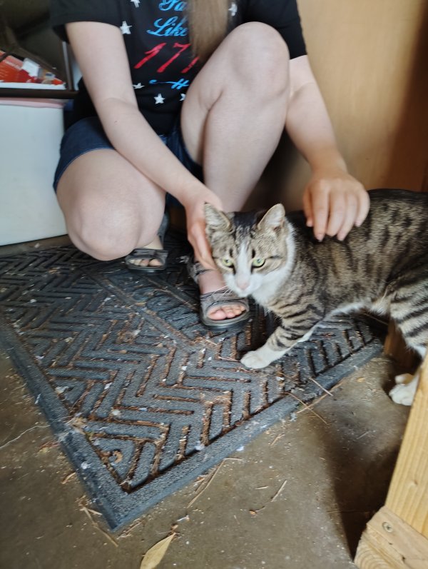 Found  