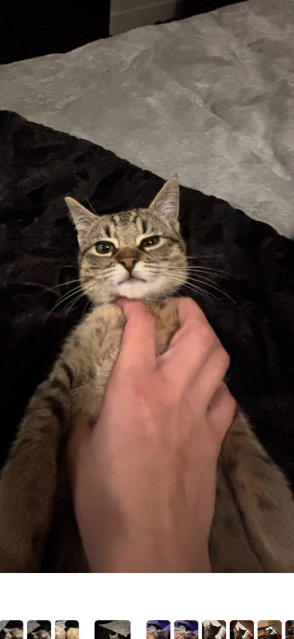 Lost Savannah in Texas