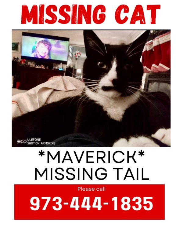 Lost  in New Jersey