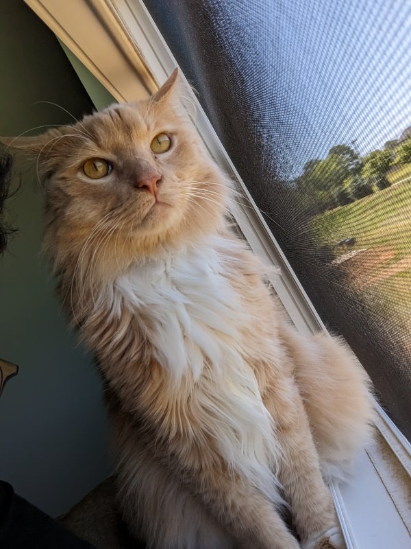 Lost Mix in Woodstock, GA