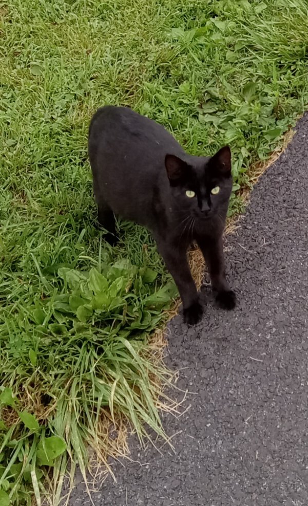 Found  in Pennsylvania