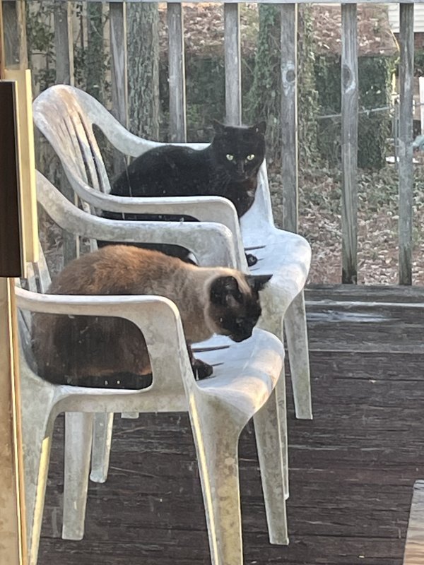 Lost  in Kennesaw, Georgia