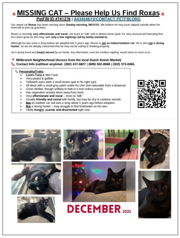 Lost Bombay in Delaware