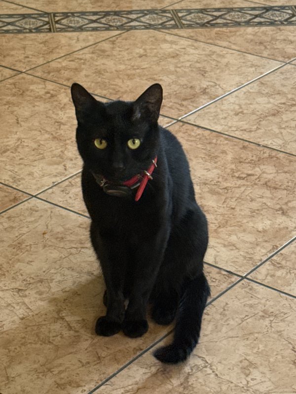Lost Bombay in Huntington Park, CA